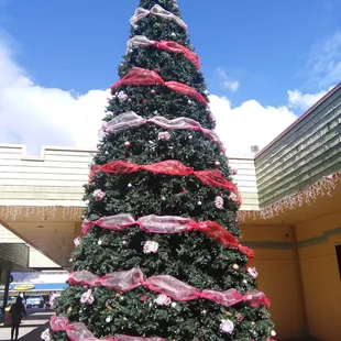 Christmas tree 2015