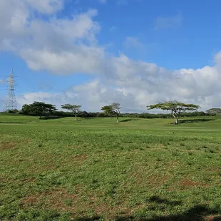 11-6-24. Large Park, lawn area