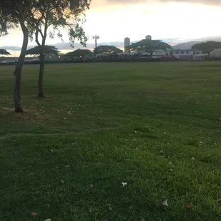 Wide open and empty today