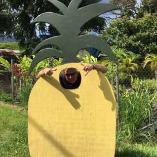 aloha pineapple