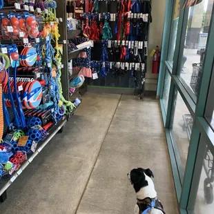 Petco