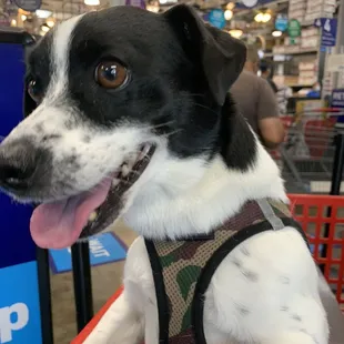 Lowe&apos;s in the return line