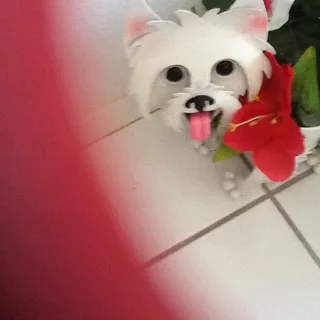 Marie S.