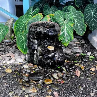 Water fountain