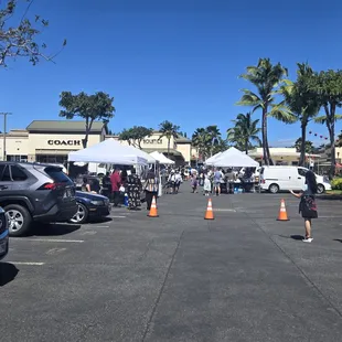 Today, 2/18/24, is half the size after a 2 month break