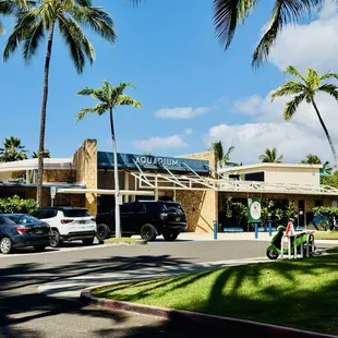 Small little Aquarium