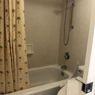 Tub bath and bidet toilet seat