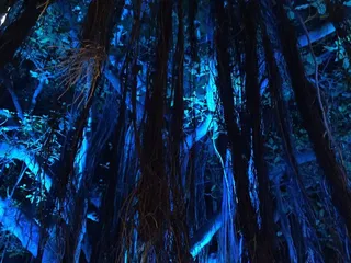 Hale Koa Post Exchange