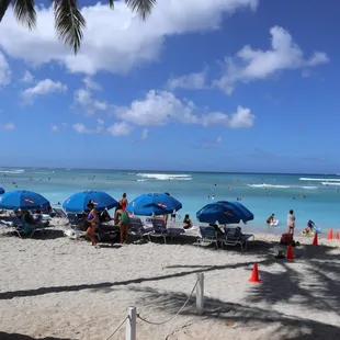 people on the beach