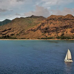 Explore Oahu's beautiful west shore in search for Hawaiian spinner dolphins and whales.
