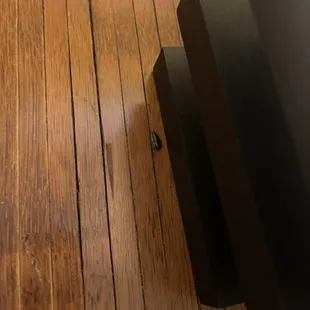 BE AWARE OF COCKROACHES!!!