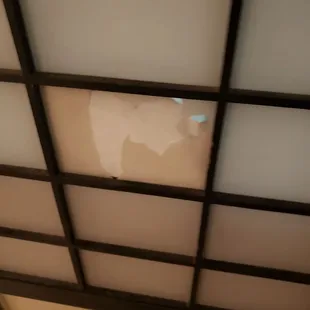 Damage on the screen between the rooms