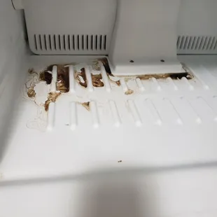 The fridge was clean but the freezer wasn't
