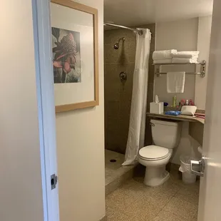 Spacious bathroom, minus a fan:(