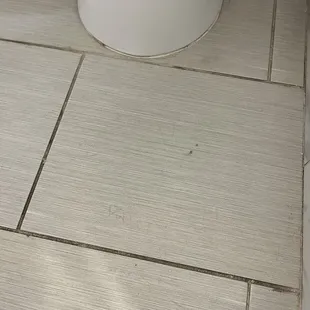 Dirty Floors Bathroom