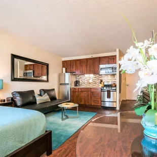 Windjammer large updated studio