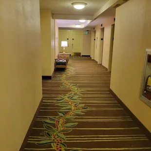 4th floor hallway