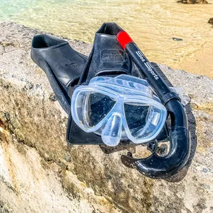Snorkel Mark &amp; Fin Rental