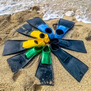 Snorkel Fin Rental
