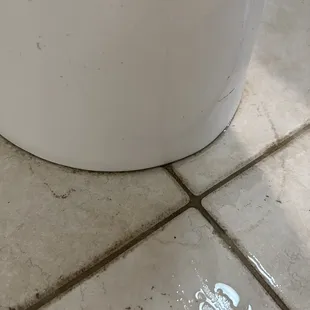 Leaking toilet all over bathroom floor