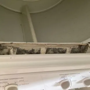 Dryer lint vent