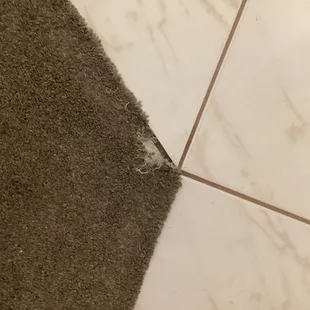 Very old nasty carpet