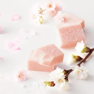 Taste ROYCE&apos; Chocolate&apos;s seasonal fan favorite, the Nama Chocolate &quot;Sakura Fromage&quot;, available for a limited time only at Waikiki Tea House.