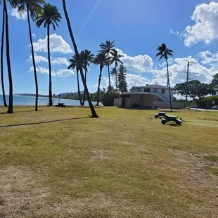 Lucky we live Hawaii!