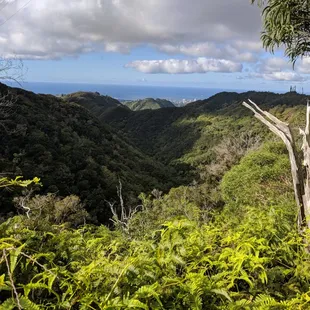 At the top...Aina Haina Valley.