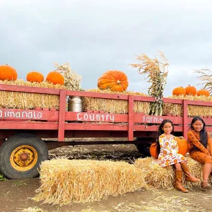 Autumn Leaves &amp; Pumpkins Please!
