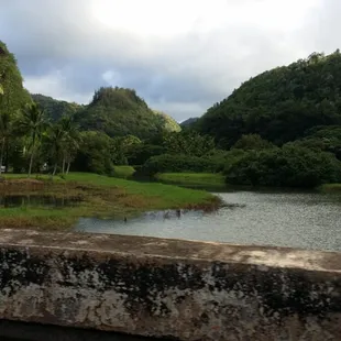 passed through on the way to pipeline.