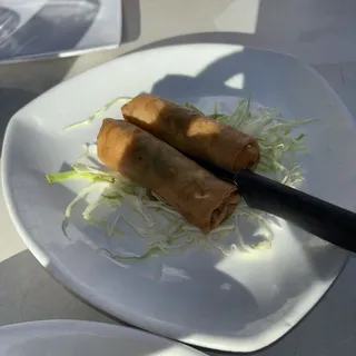 Crispy Spring Rolls
