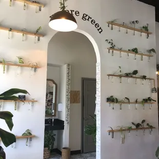 The plants on the walls that are available for sale. Behind the archway are the single person bathrooms.