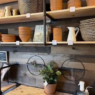 repotting station for plants with some stuff for sale