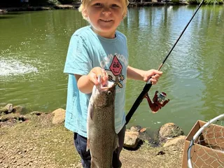 Smith's Mt. St. Helena Trout Farm & Hatchery