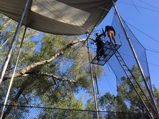 Trapeze Pro