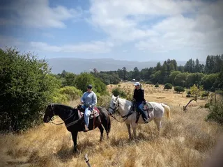 Triple Creek Horse Outfit