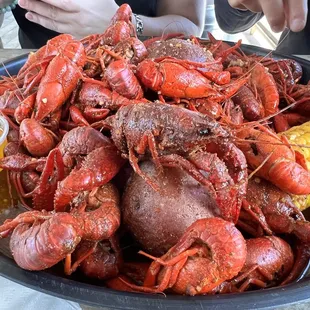 Crawfish