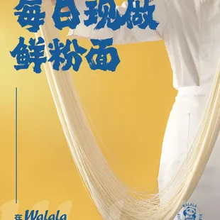 freshly hand made hand-pull noodles daily