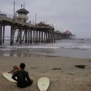 Matt S.