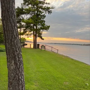 a view of the water from the lawn