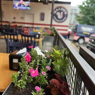 Outside Patio