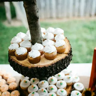 A little sample of the Waldron Restaurant's delicious cupcakes at my wedding.