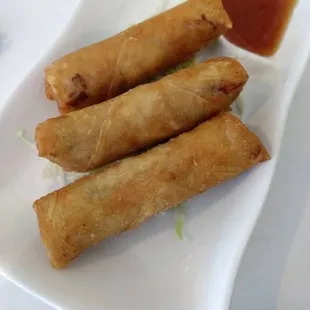 a plate of vegetable spring rolls