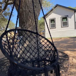 a hanging chair in front of a tree