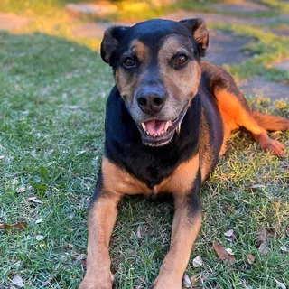 Josie G.