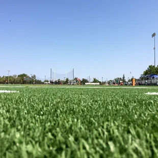 August 27, 2016  artificial turf football field