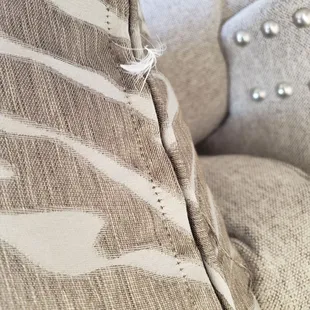 Feathers everywhere for two years!! FML