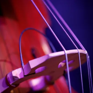 Talented musicians from around the country