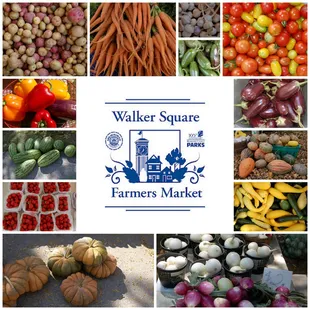 a variety of vegetables